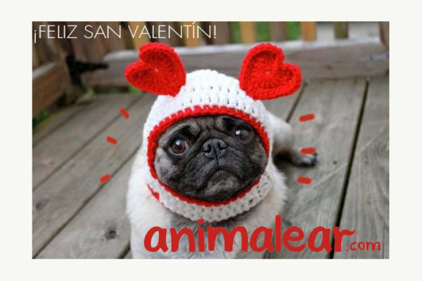 San-Valentín