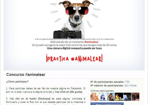 página-principal-Animalear